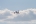 Airbus A319-111